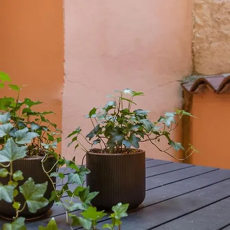 公寓 Centro I S. Michele 2